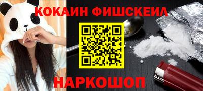 спайс Кингисепп