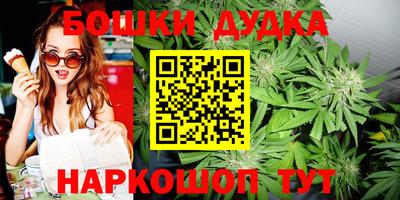 спайс Кингисепп