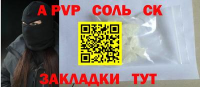 спайс Кингисепп